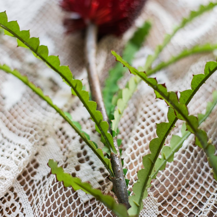 Faux Banksia Integrifolia Faux Flower 28" Tall Silk