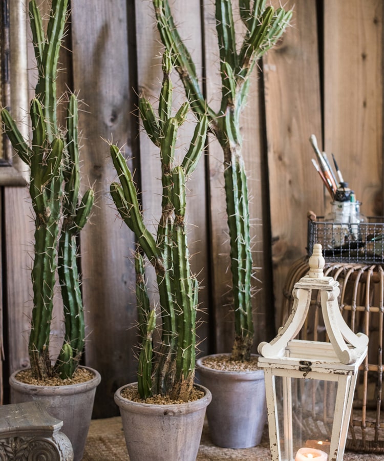 Artificial Plant Chihuahua Desert Cactus