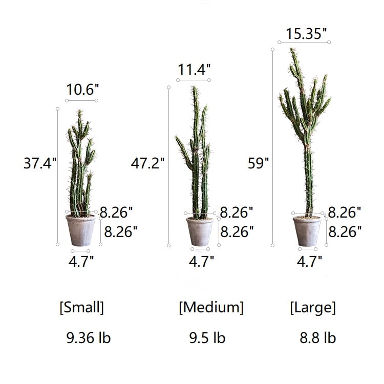 Artificial Plant Chihuahua Desert Cactus
