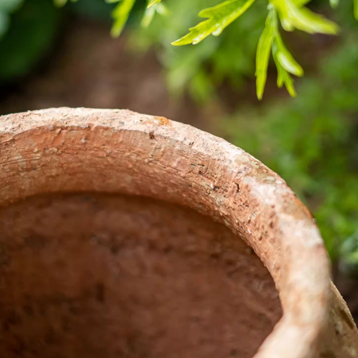 Distressed Cement Plant Pot