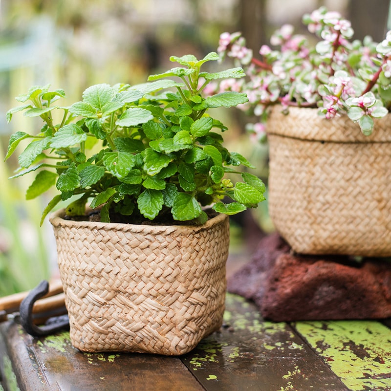 Straw Basket Style Concrete Planter