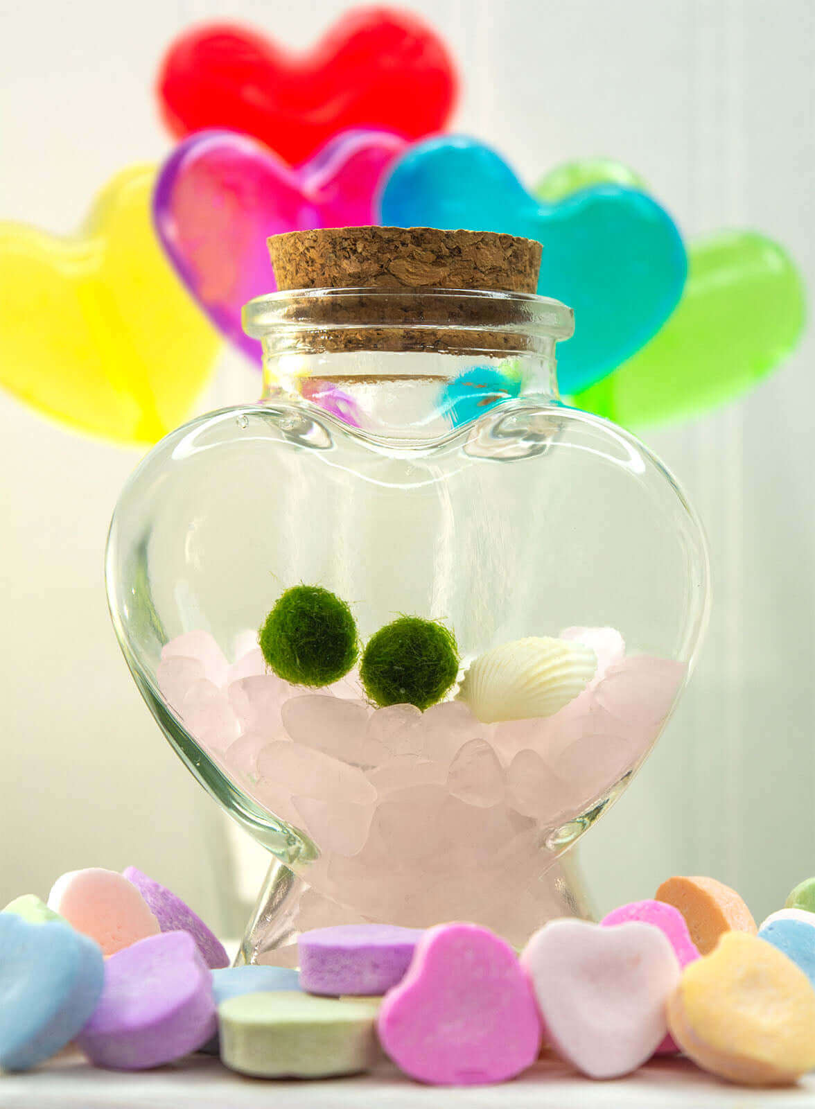 Heart Terrarium with Two Nano Moss Ball Pets