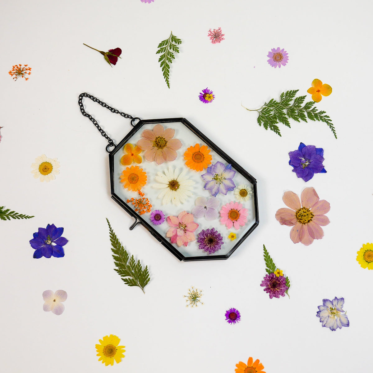 Framed Pressed Flowers Kit