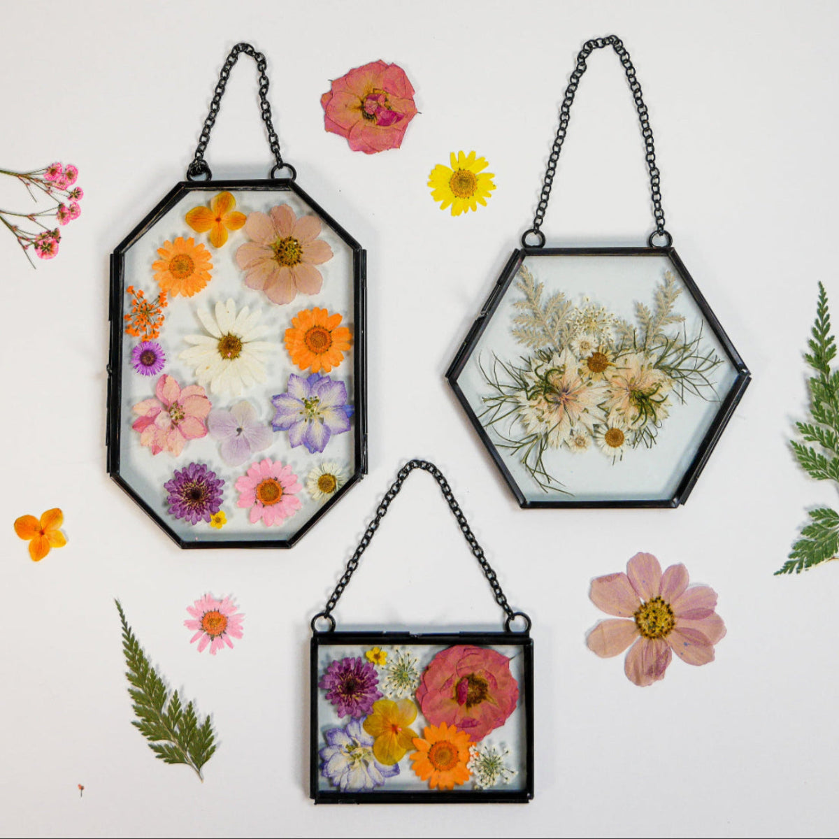 Framed Pressed Flowers Kit