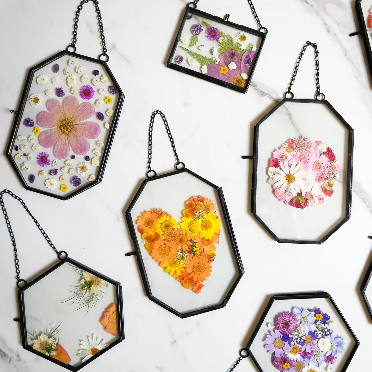 Framed Pressed Flowers Kit