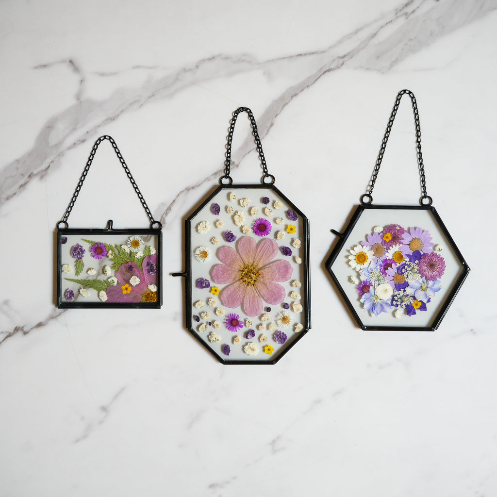 Framed Pressed Flowers Kit
