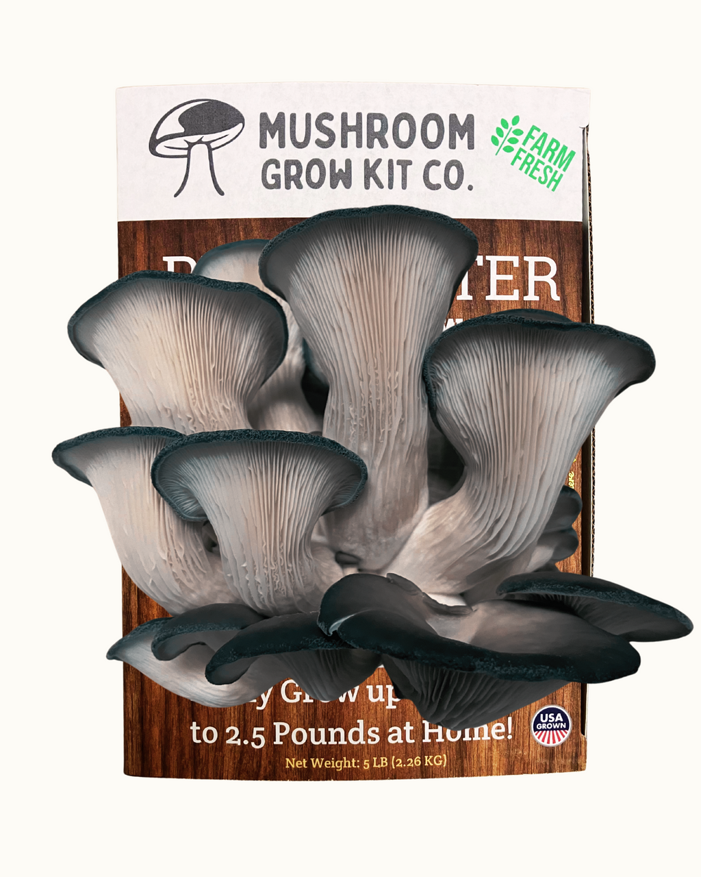 3 Pack - Premium Lion's Mane, Pink, and Blue Oyster Mushroom Growing Kit - 15 LBS