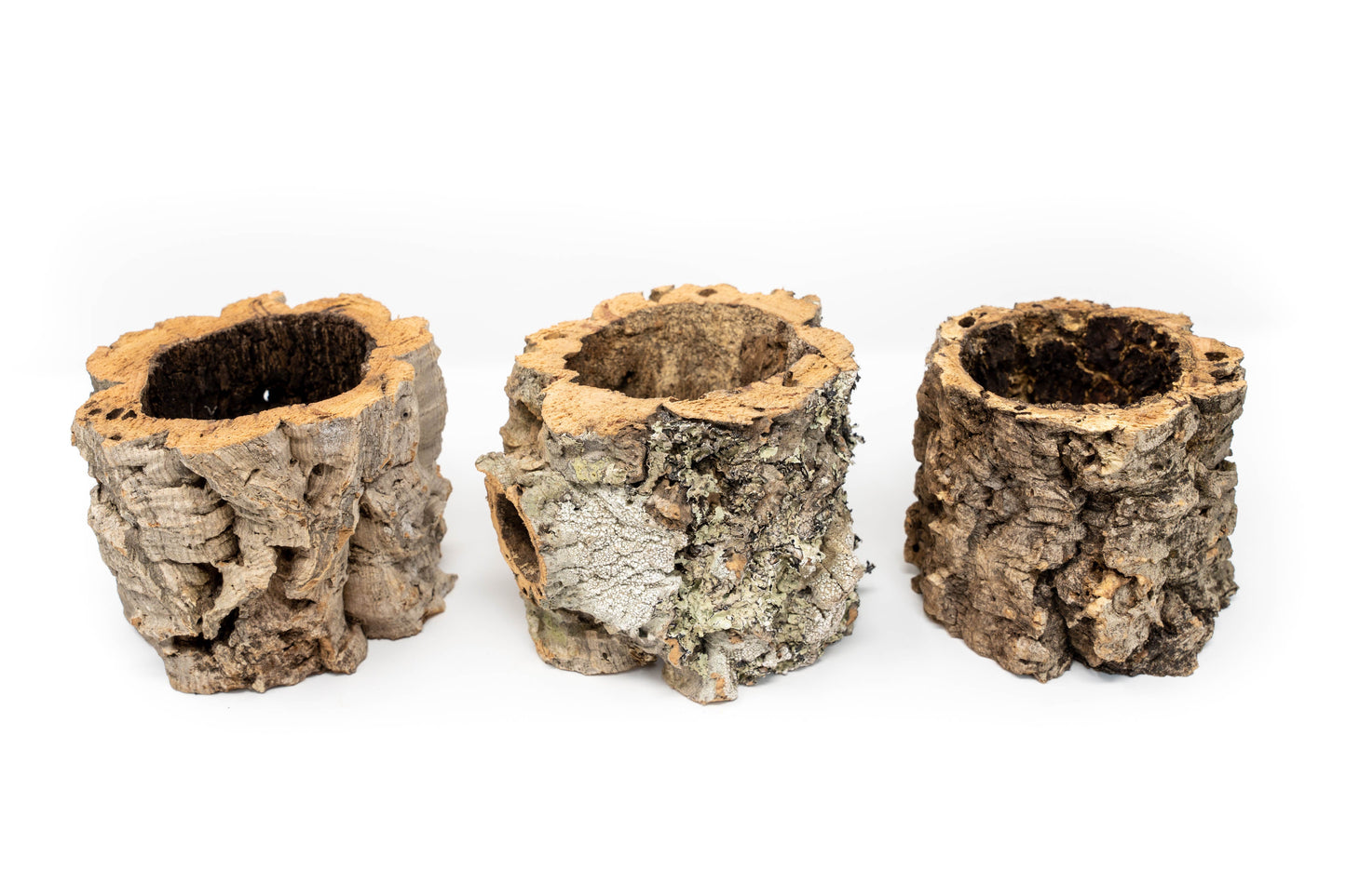 Natural Cork Bark Planters