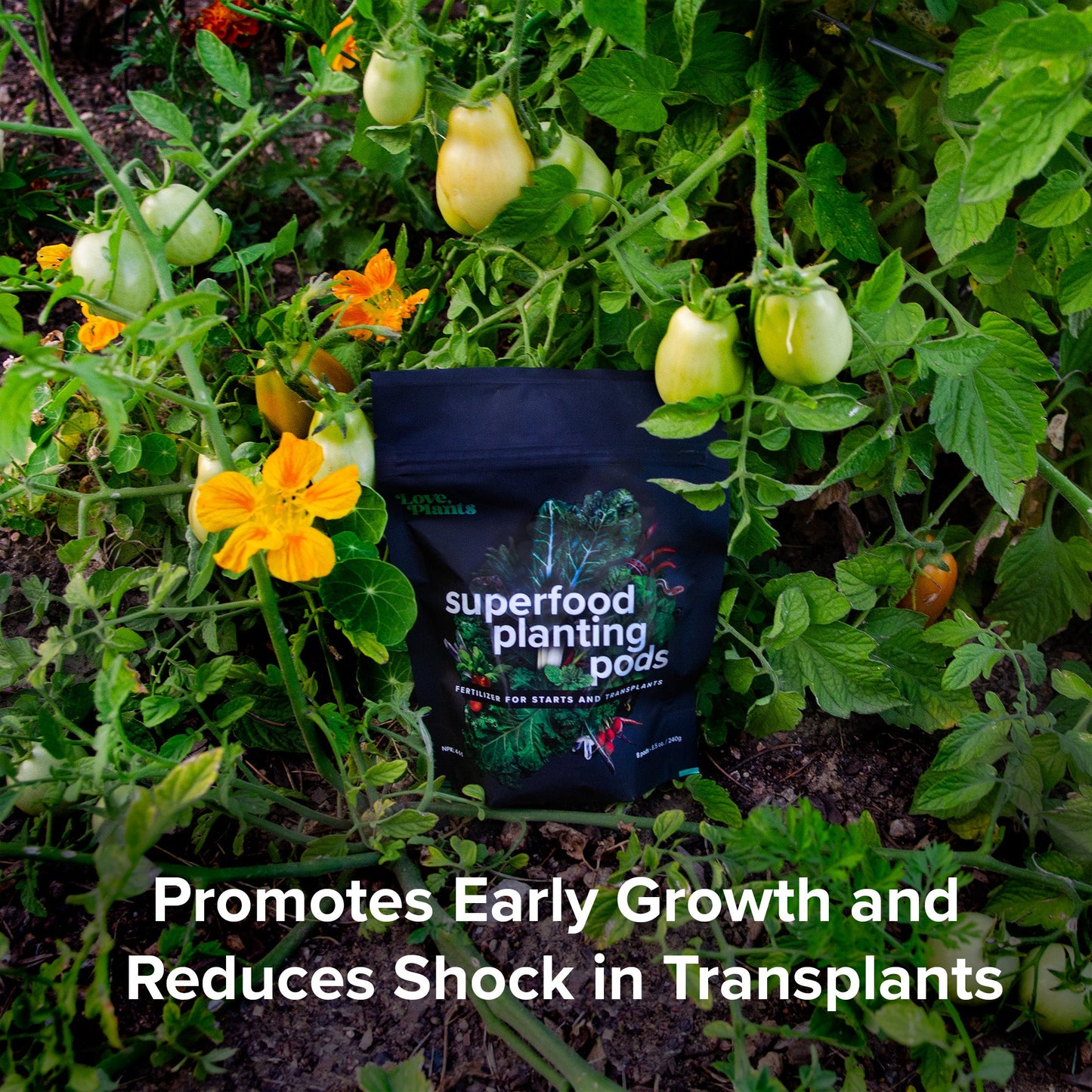 Plant Superfood Pods