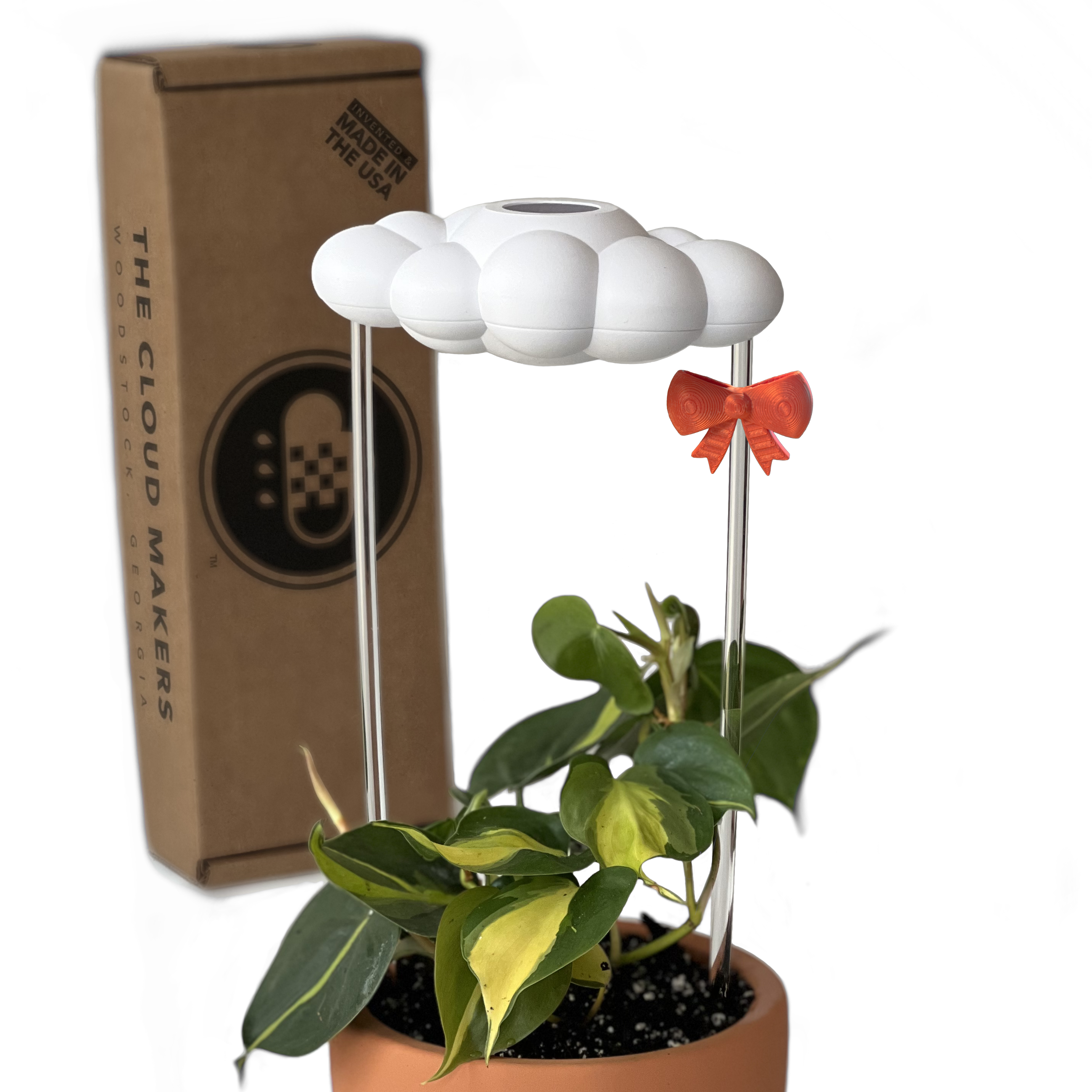 Original Dripping Rain Cloud with Bow Charm