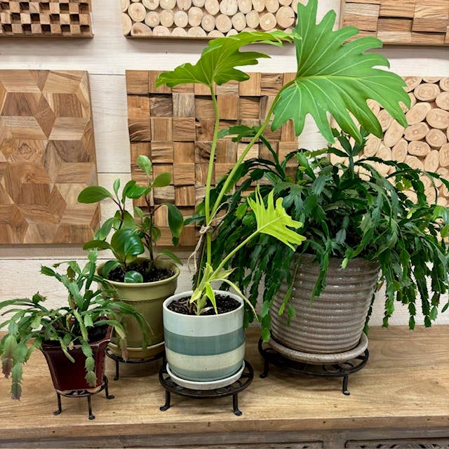 4" Round Wrought Iron Plant Stand