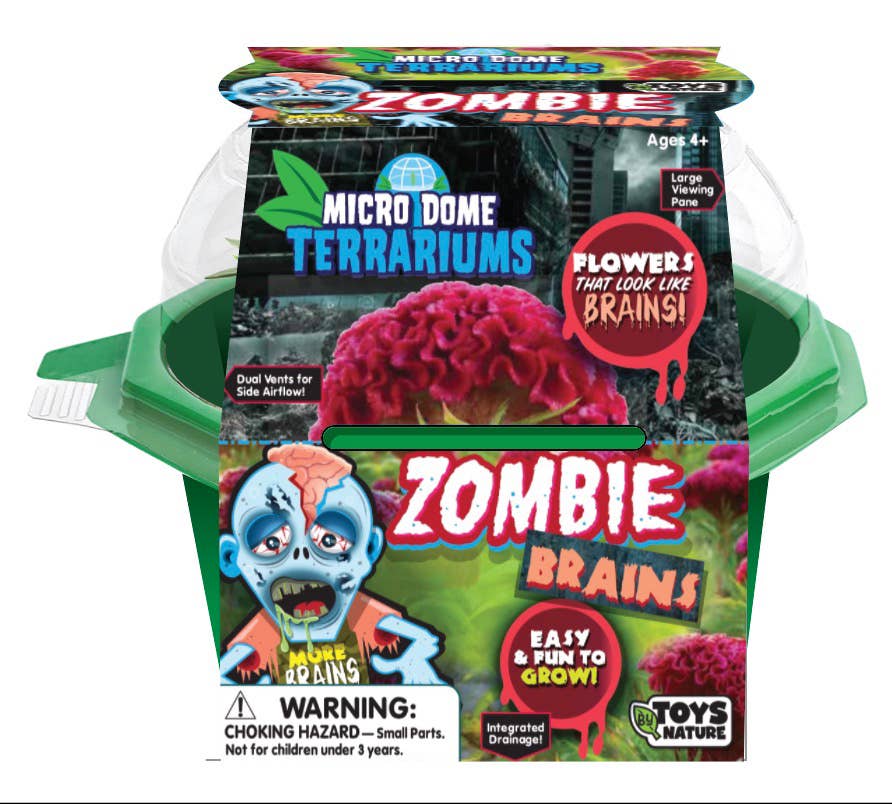 Zombie Brains Micro Terrarium