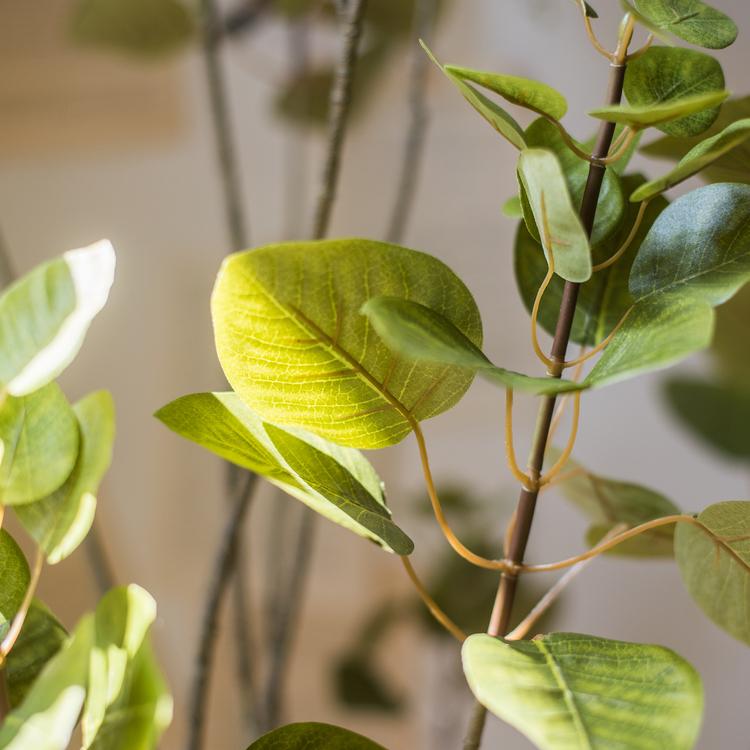 Artificial Silk Bauhinia Tree In Pot