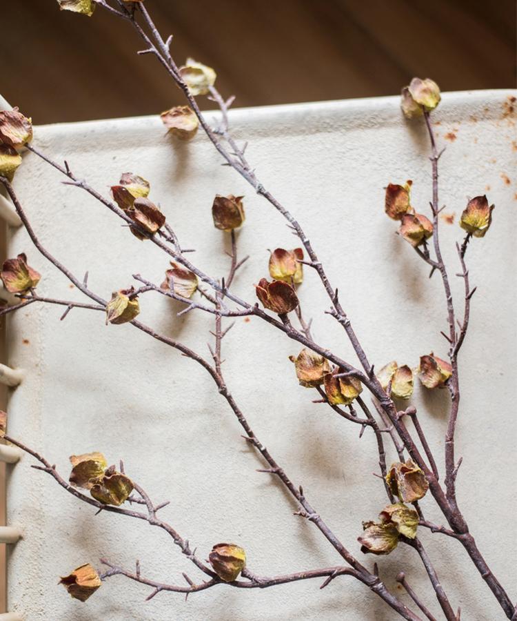 Faux  Silk Artificial Hibiscus Flower Stem Dry 35.4" Tall