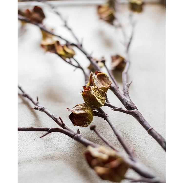 Faux  Silk Artificial Hibiscus Flower Stem Dry 35.4" Tall