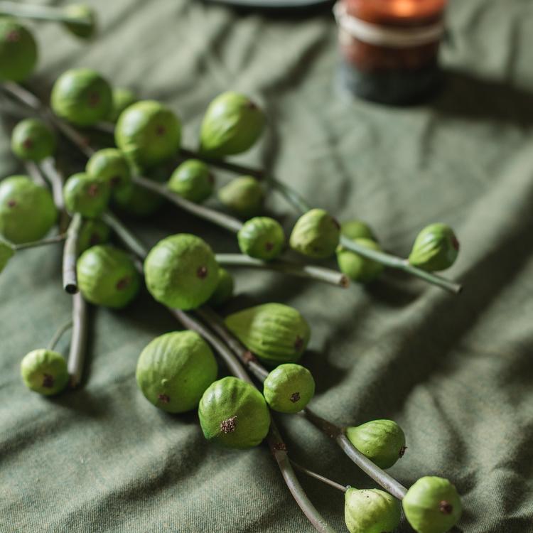 Artificial Fig Fruit Stem 30" Tall Silk Branch