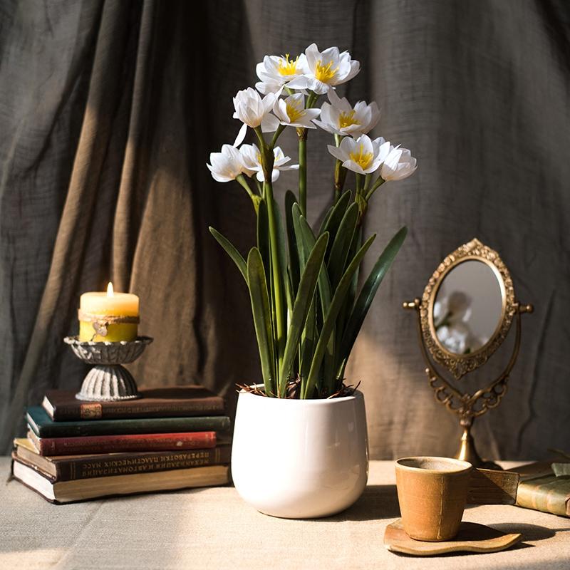Artificial Silk Real Touch Daffodil Flower Bonsai