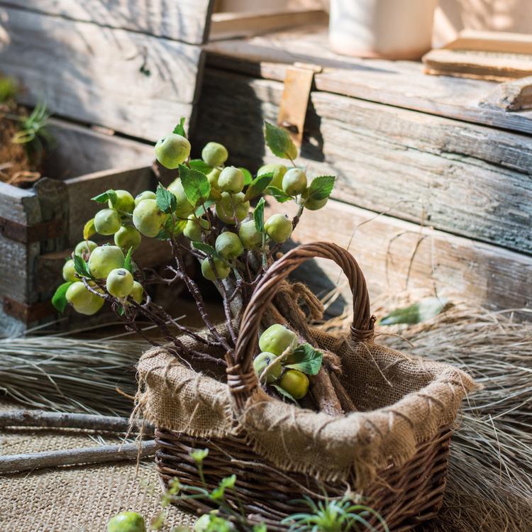 Artificial Fruit Mini Apple Stems in Green 23" Tall Silk Plant