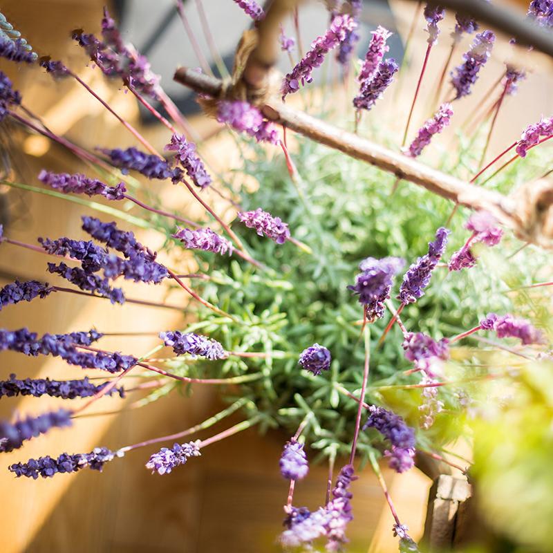 Faux Artificial Lavender Provence Lavender Stem 21" Tall Silk