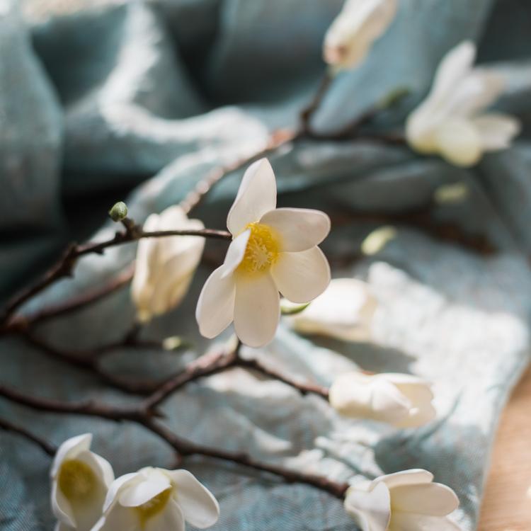 Artificial Magnolia Stem in Eco PE Foam 25" Tall