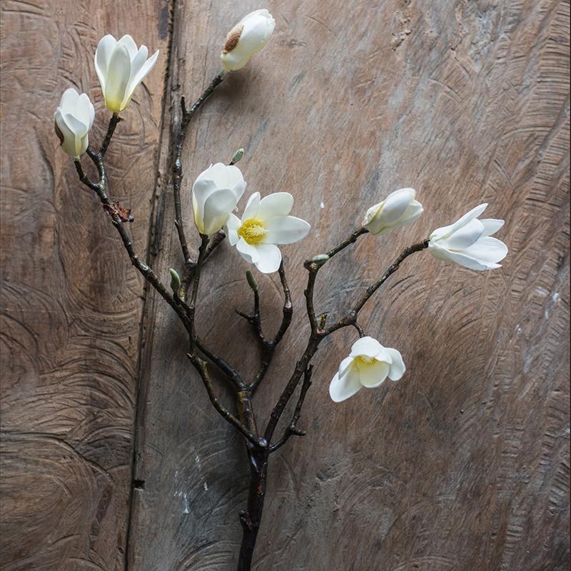 Artificial Magnolia Stem in Eco PE Foam 25" Tall