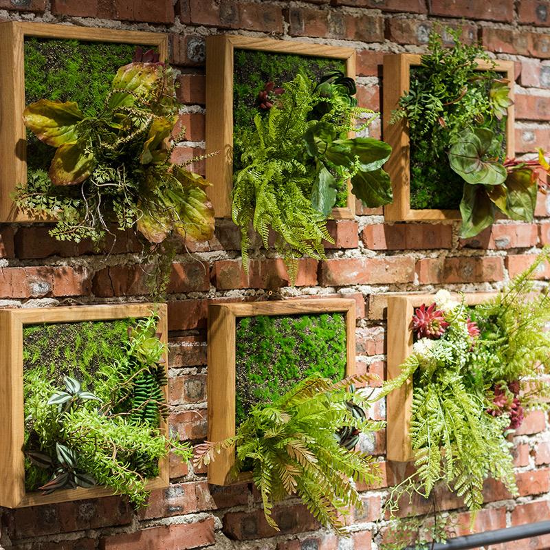 Artificial Faux Plant Succulent Wall Art