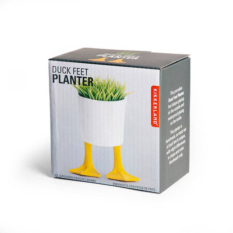 Small Duck Feet Planter