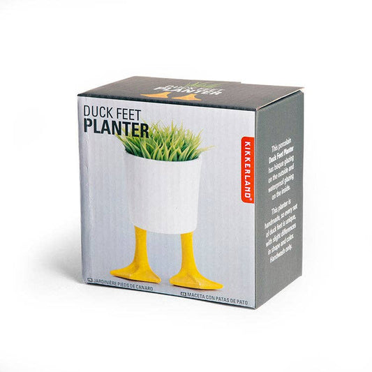 Small Duck Feet Planter