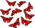 Monarch Butterfly Garland - THH1018