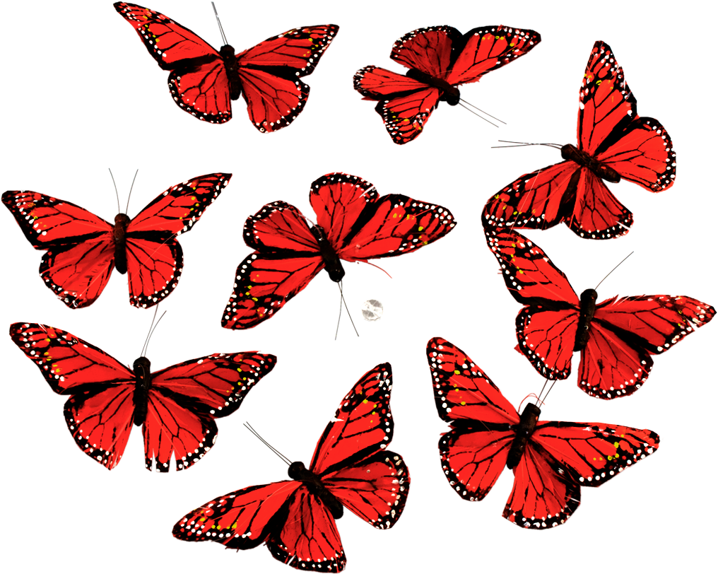 Monarch Butterfly Garland - THH1018