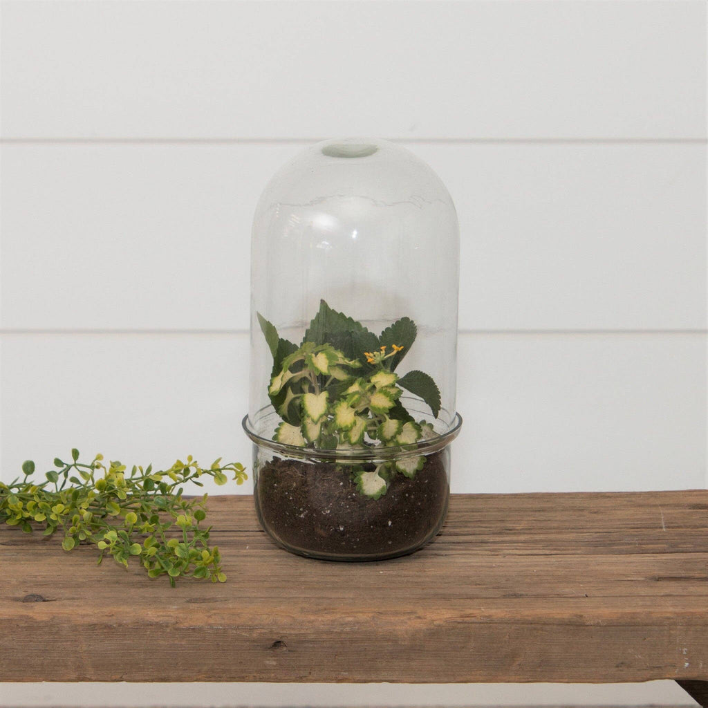 Glass Cloche Terrarium With Glass Base (PC)