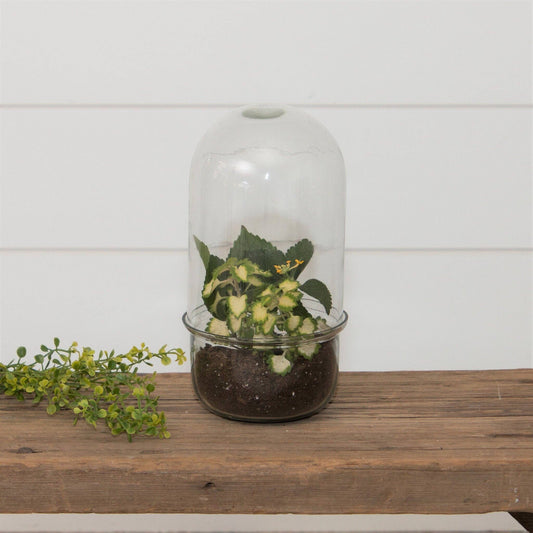 Glass Cloche Terrarium With Glass Base (PC)