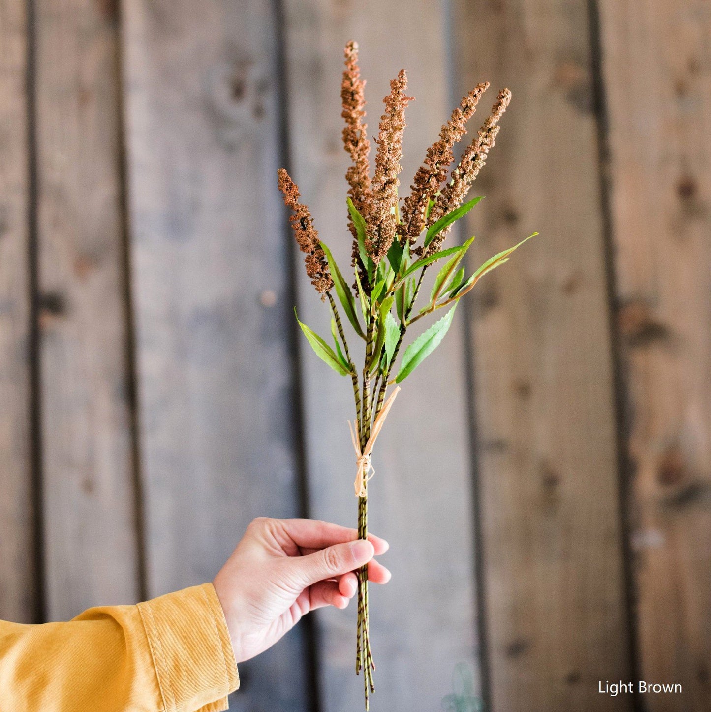 Buddleja Butterfly Bush Bundle 18" Tall