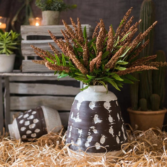 Buddleja Butterfly Bush Bundle 18" Tall