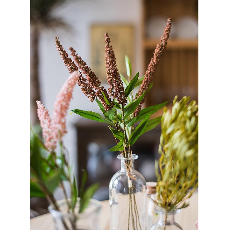 Buddleja Butterfly Bush Bundle 18" Tall