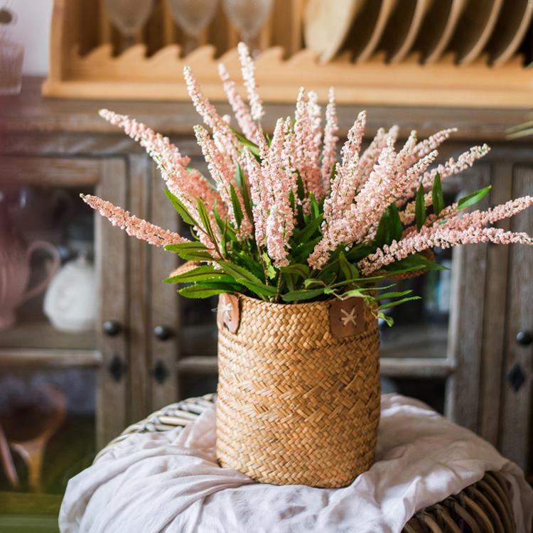 Buddleja Butterfly Bush Bundle 18" Tall