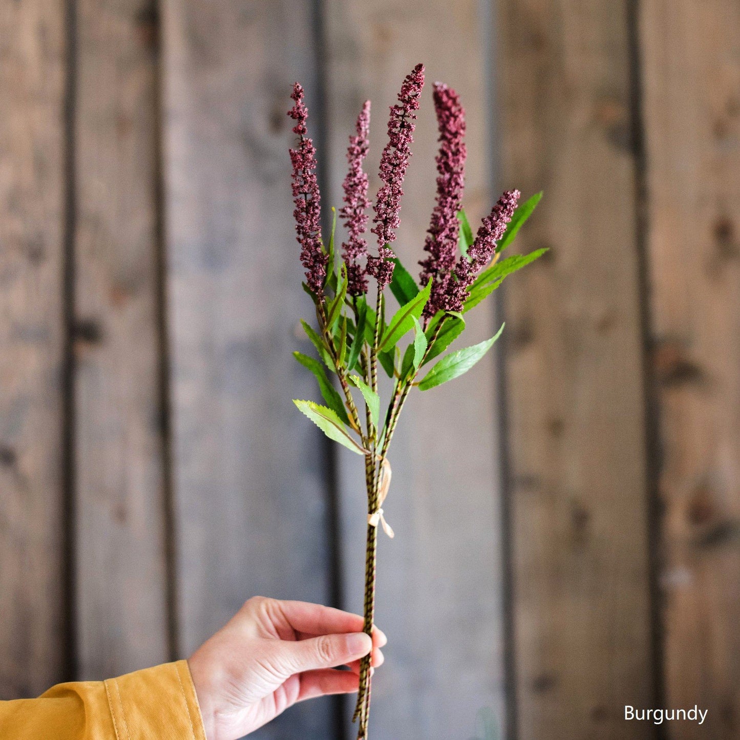 Buddleja Butterfly Bush Bundle 18" Tall