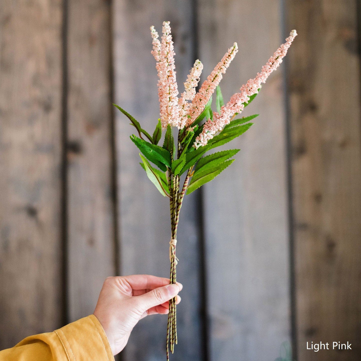 Buddleja Butterfly Bush Bundle 18" Tall