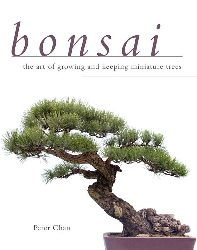 Bonsai by Peter Chan