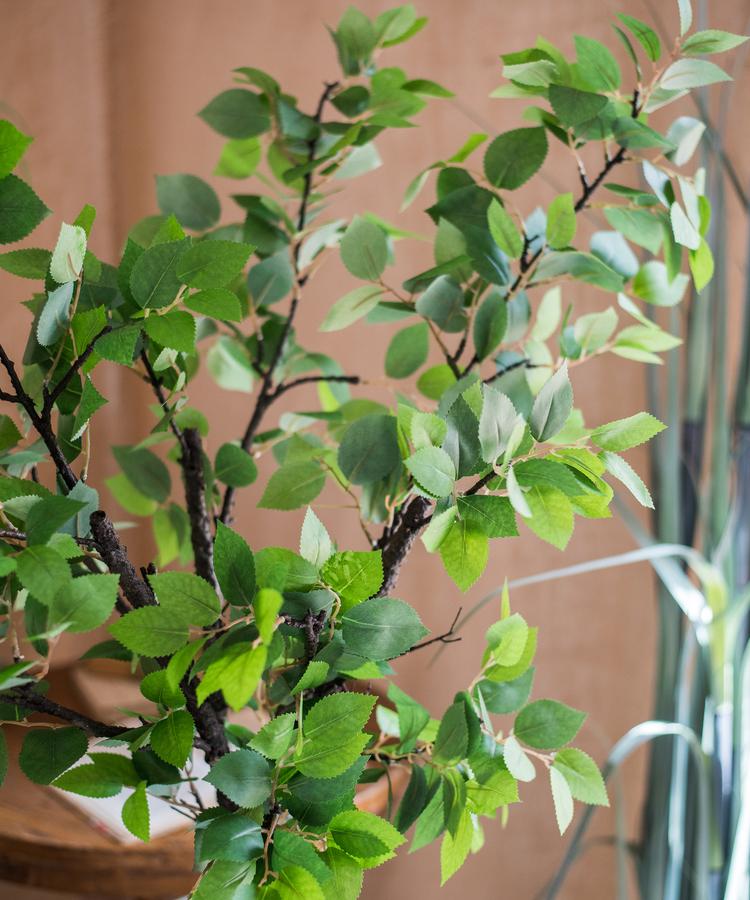 Camellia Green Leaf Stem