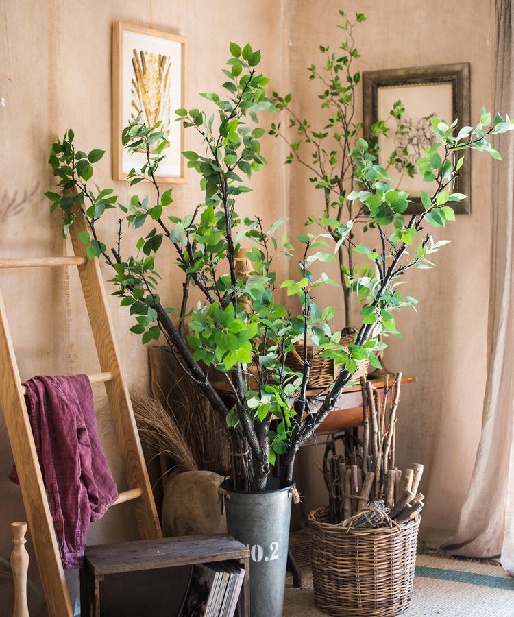 Camellia Green Leaf Stem