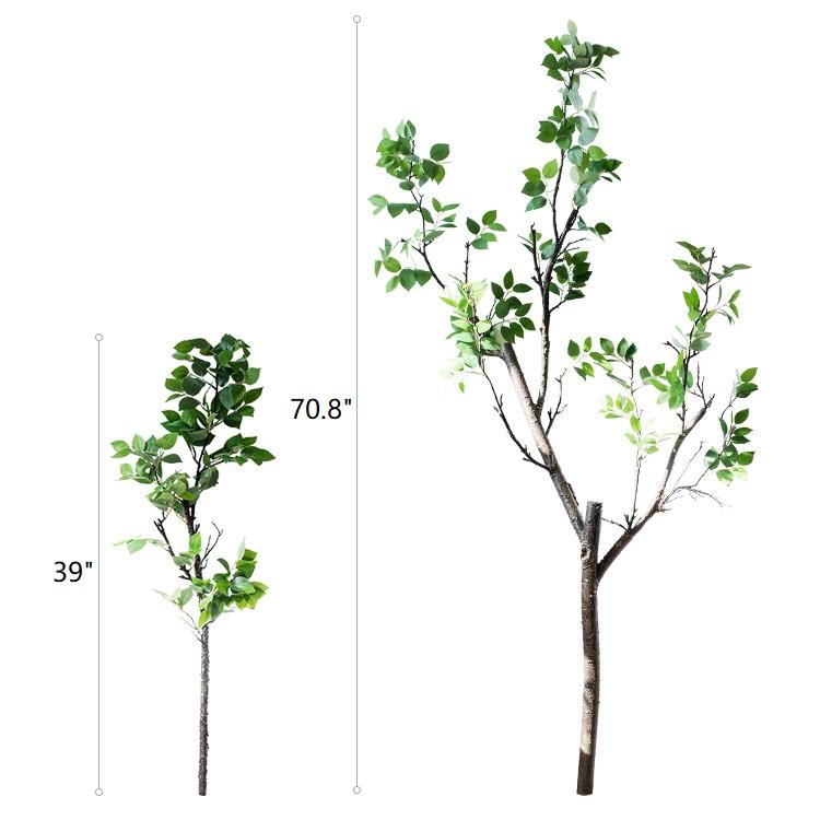 Camellia Green Leaf Stem