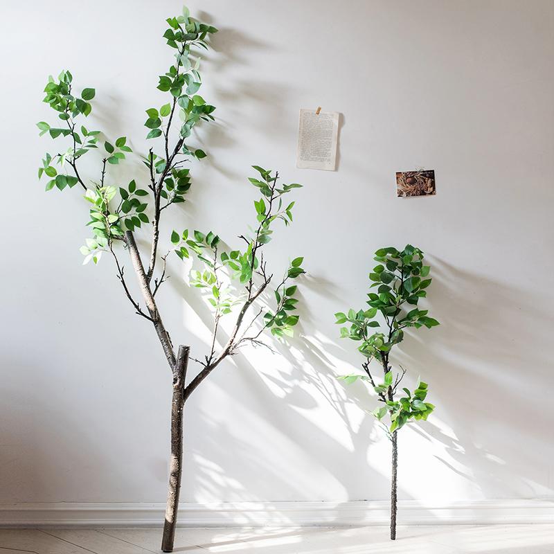 Camellia Green Leaf Stem