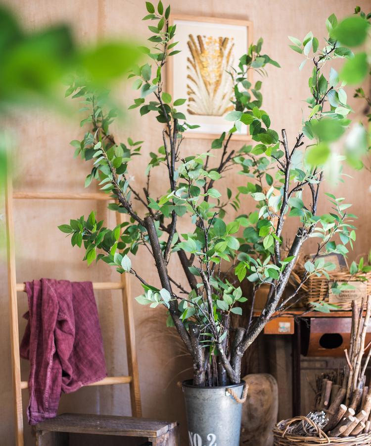 Camellia Green Leaf Stem