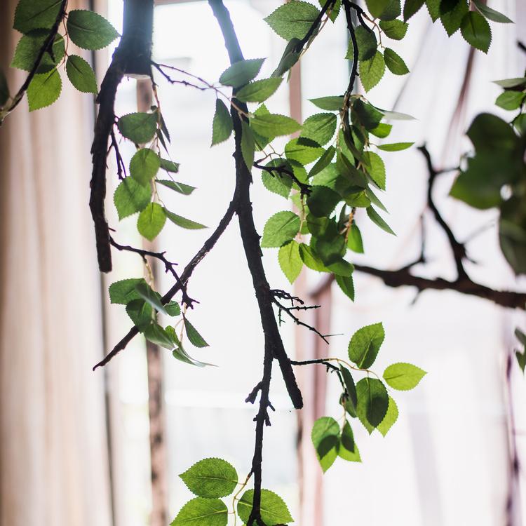 Camellia Green Leaf Stem
