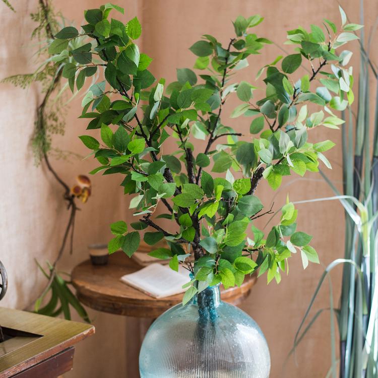 Camellia Green Leaf Stem