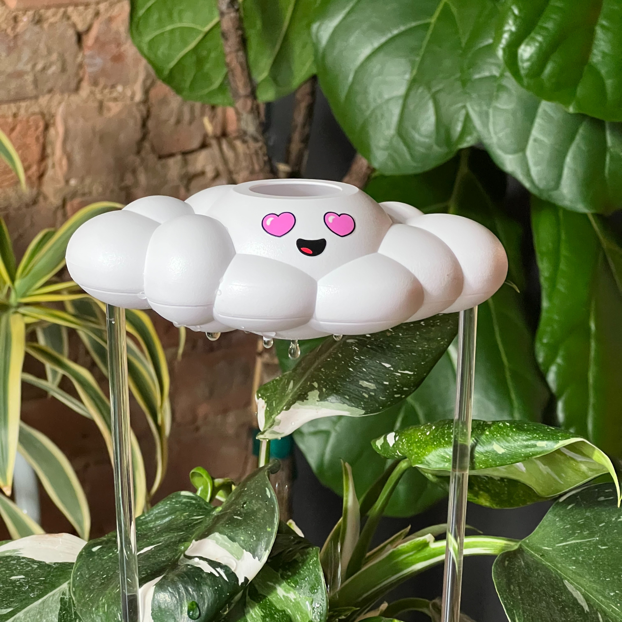 Chloe the Cloud
