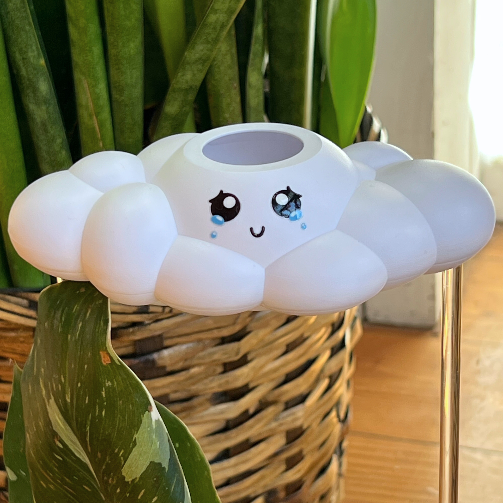 Clara The Cloud