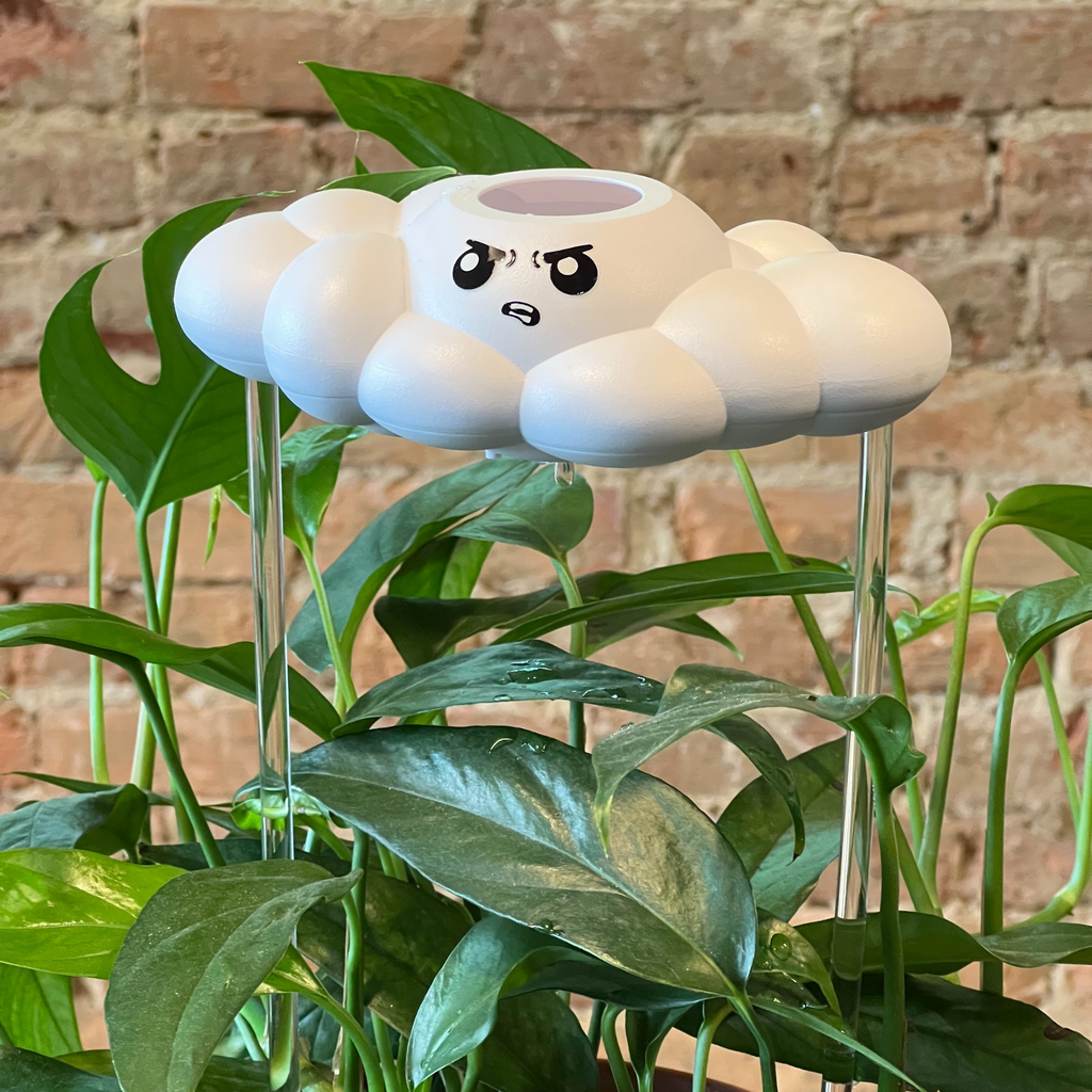 Cliff the Cloud