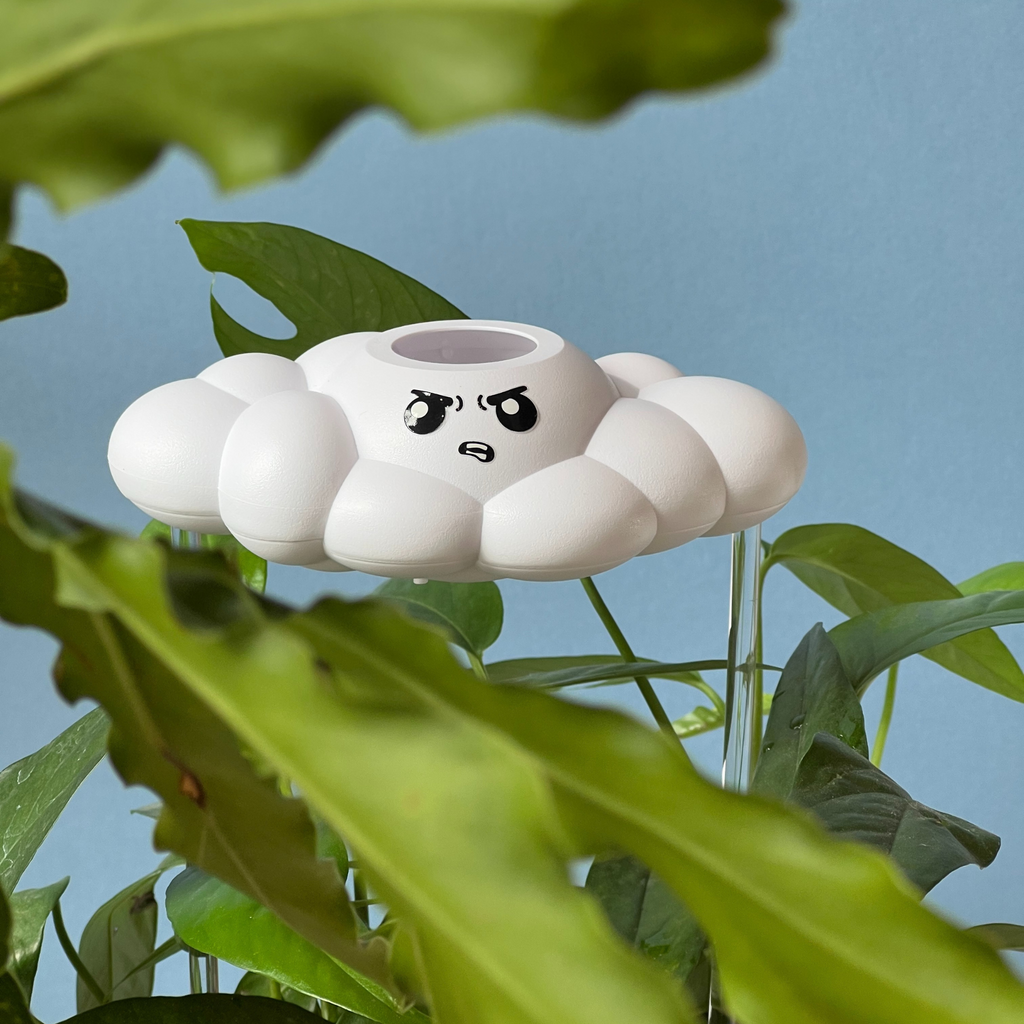 Cliff the Cloud